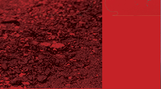 SIC_21_9.jpg