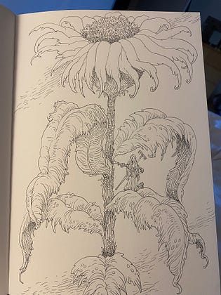Chris Riddell | Substack