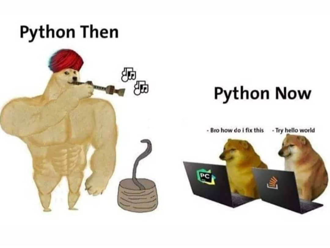 Không có mô tả ảnh.