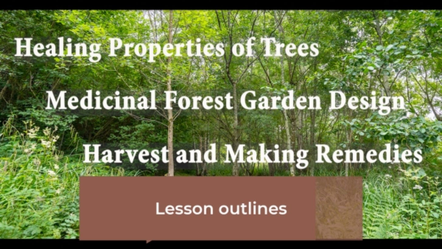 A list of other courses available