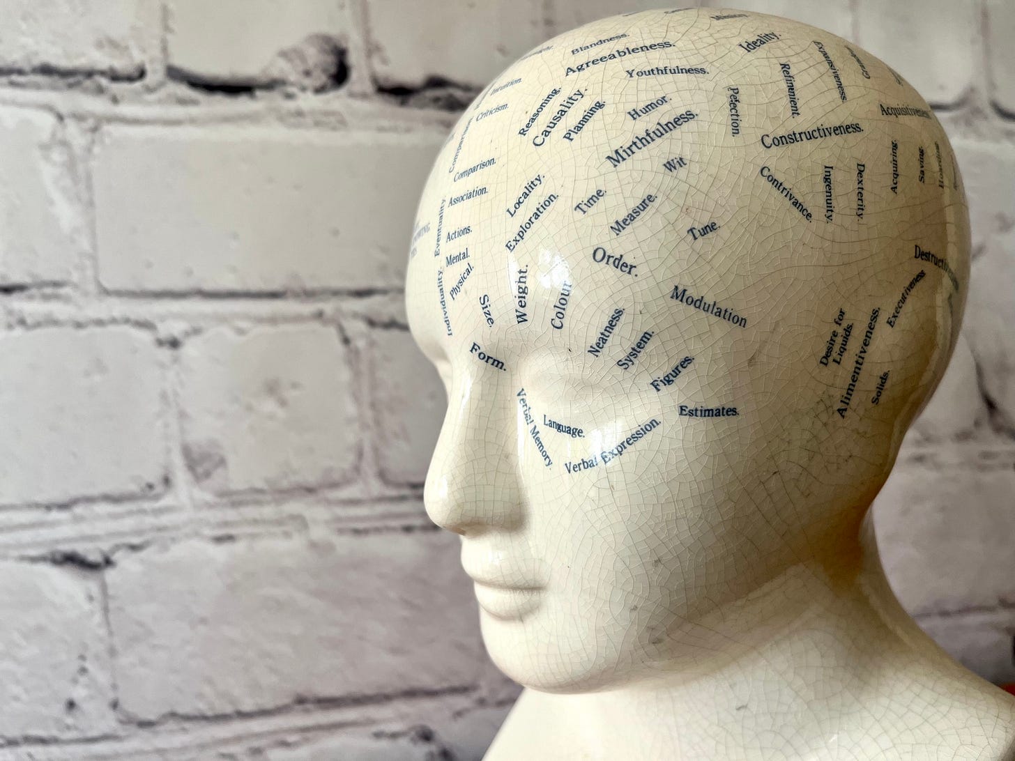 Phrenology head