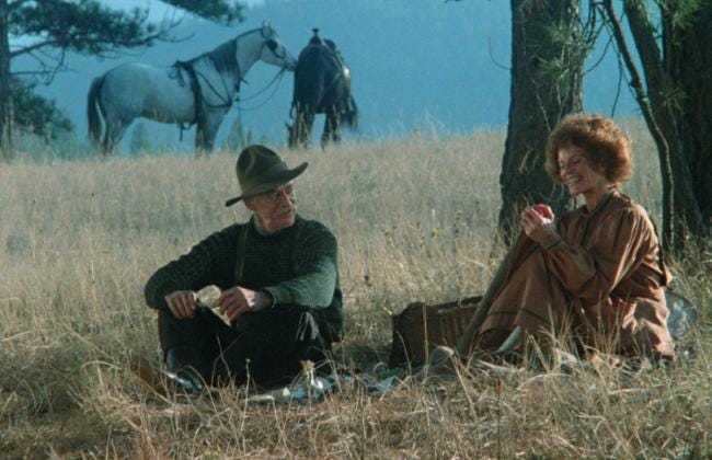 The Grey Fox | BAMPFA