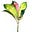 CrotonLeaf's avatar