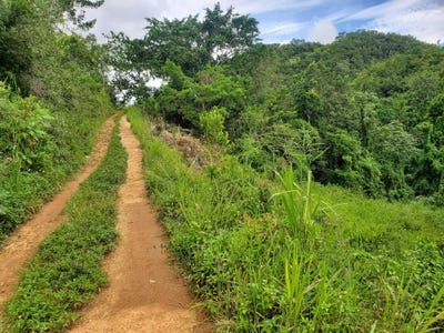 Sligoville Sligoville