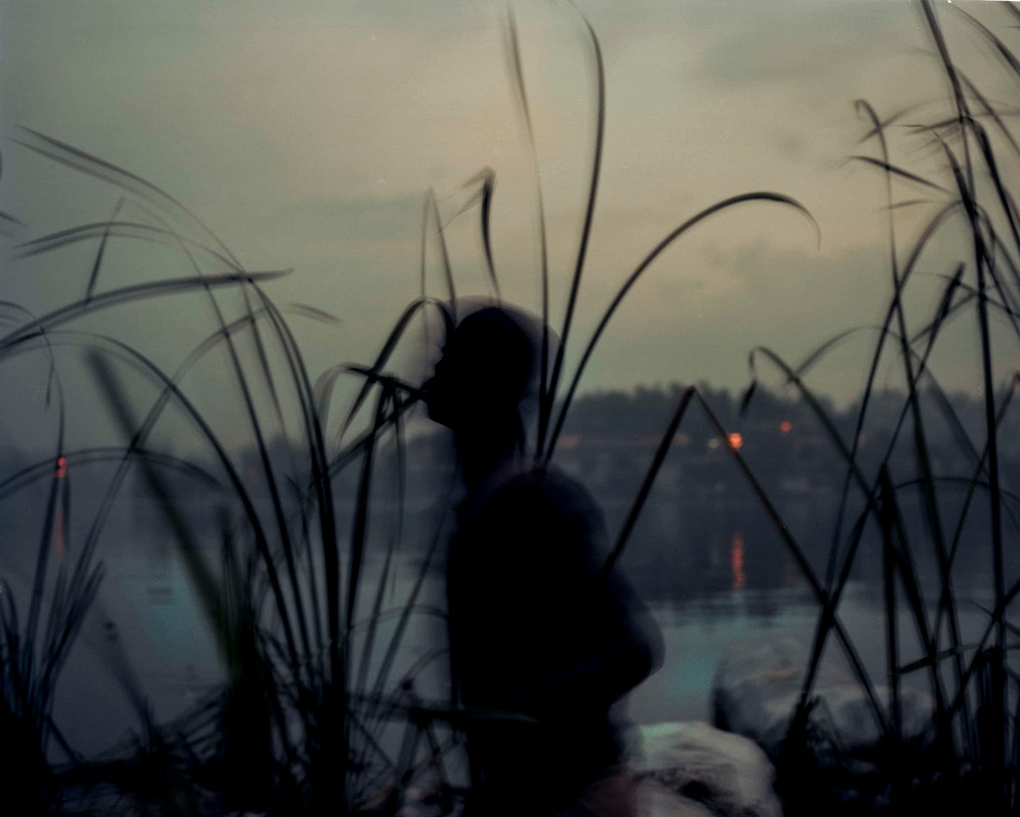 Cécile Smetana Baudier — Firecracker