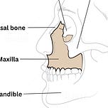 Mortician Resources Florida