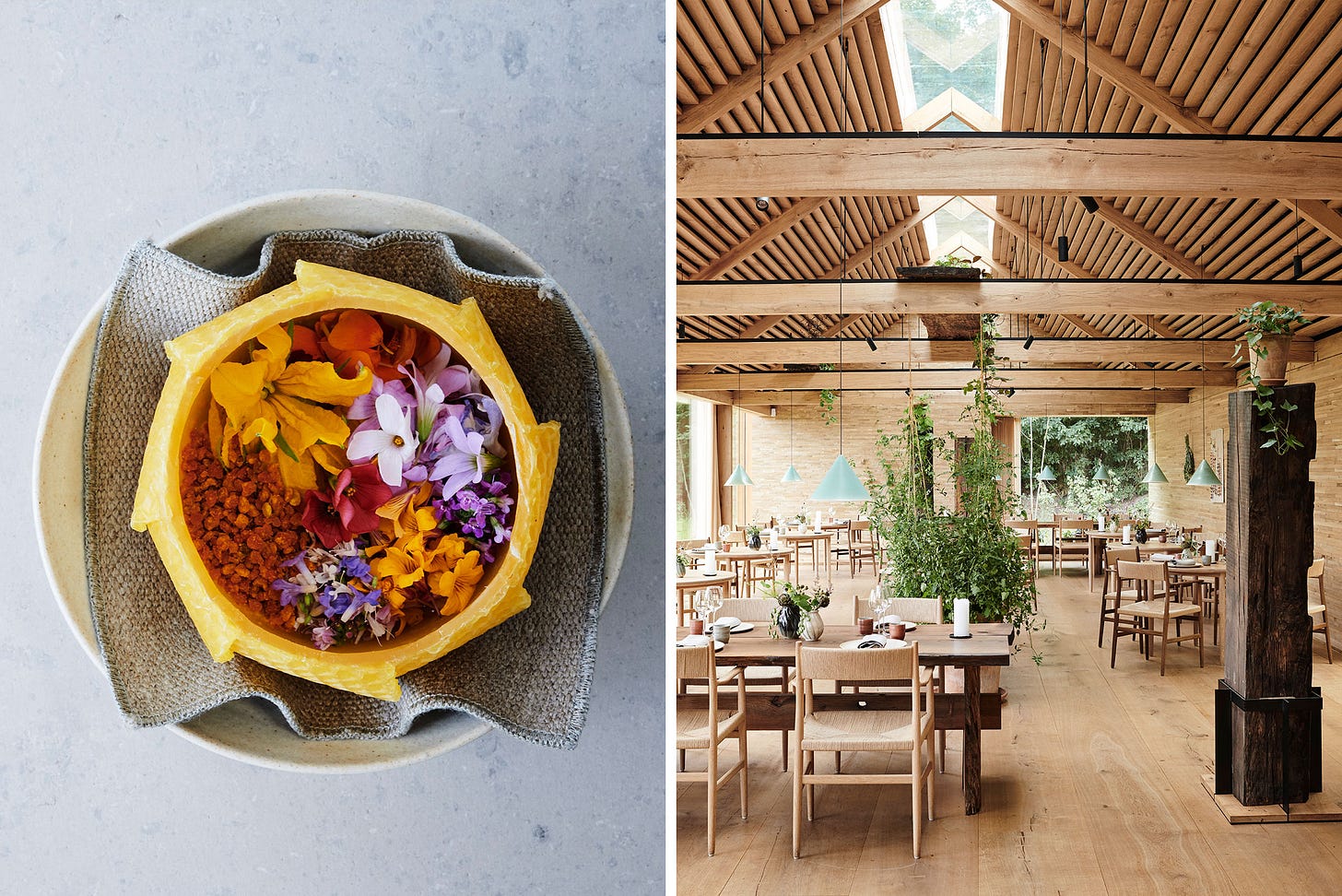 Noma Is One of the World's Greatest Places 2018 | Time.com