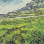 Tree of Life Mission