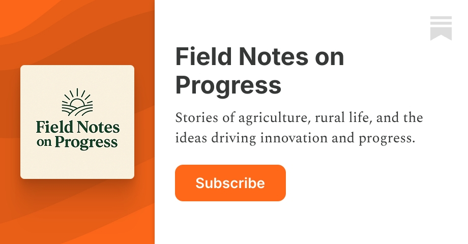 Field Notes on Progress | Abby ShalekBriski | Substack