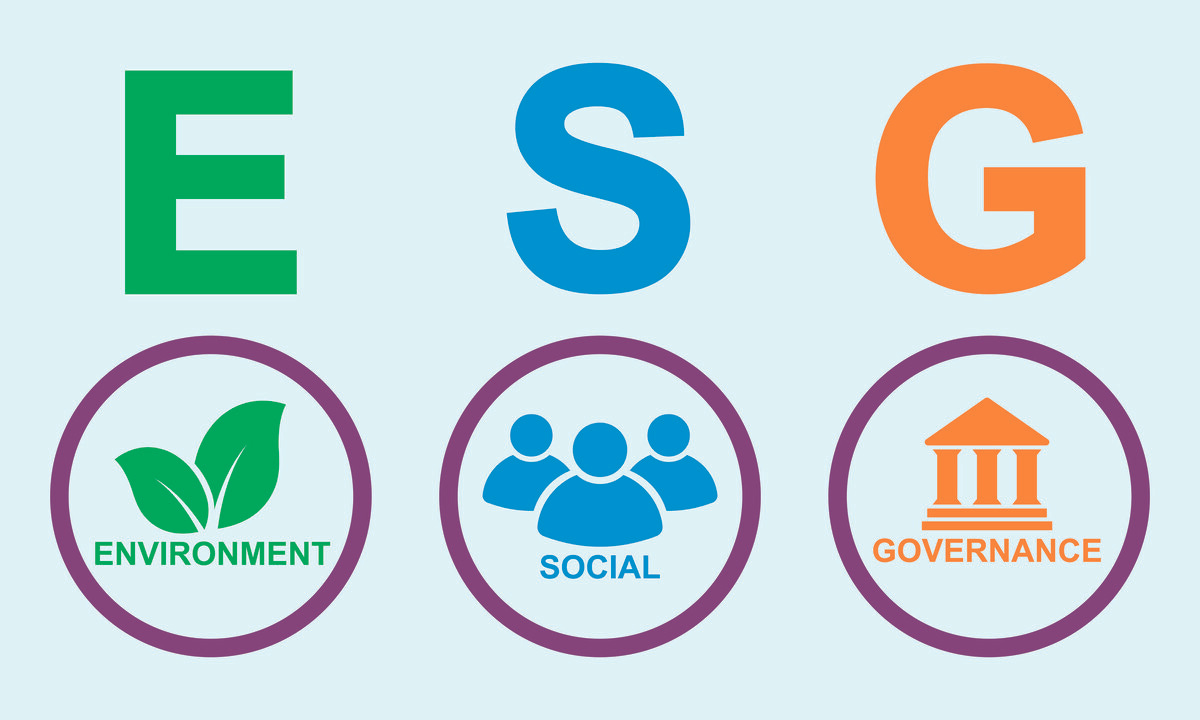 The Power of ESG Strategy: Moving Beyond the ESG Report The Power of ESG Strategy: Moving Beyond the ESG Report