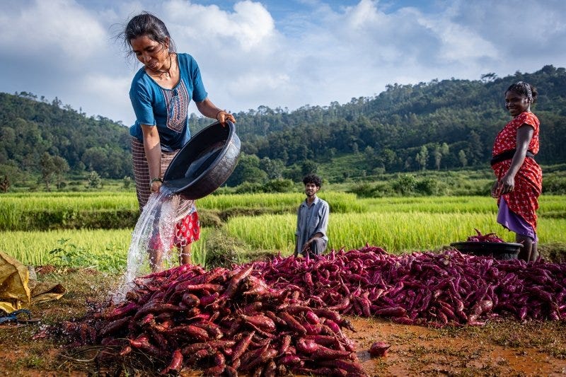 The Rs1.75 Lakh Crore Question: Can Andhra Pradesh’s Natural Farming Model Transform Indian Agriculture?