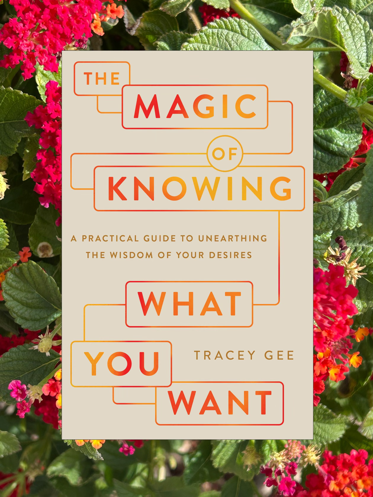 A background of hot pink flowers on a bush, the cover of Tracey Gee's book, The Magic of Knowing What You Want. Each word of the title is in a box connected by a straight line path to the next word