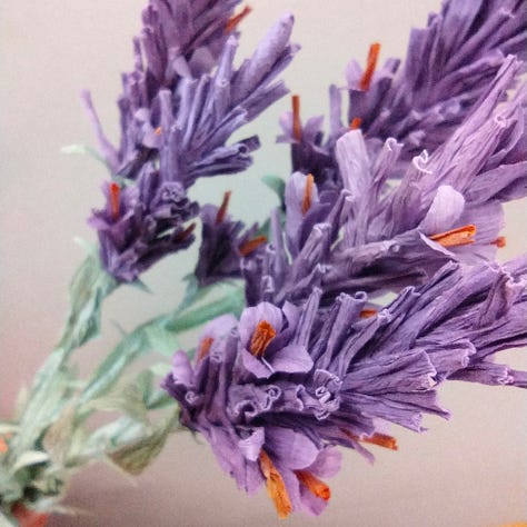Paper lavender in bright shades of purple and green, next to the even more vivid colours of rock sea lavender growing out of a stone wall