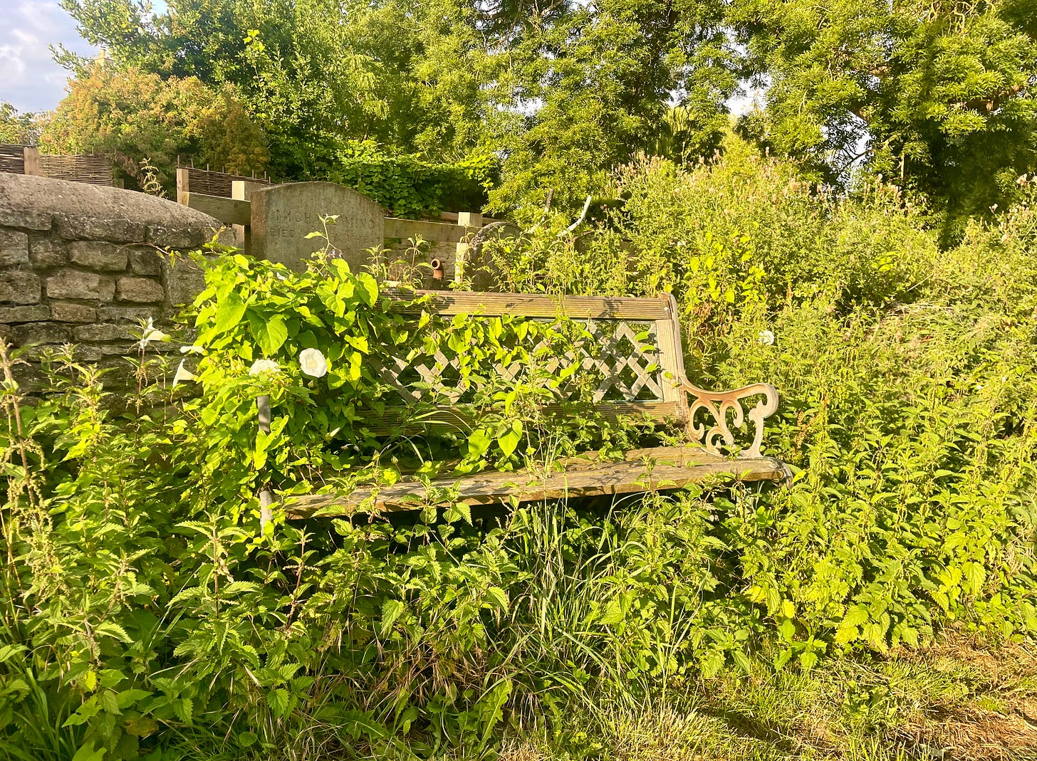 a wooden bench almost completely overgrown with green vines and white flower