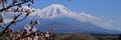 Fuji Outdoor Base