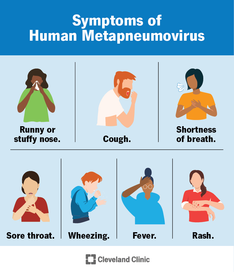 Human Metapneumovirus (HMPV): Symptoms & Treatment