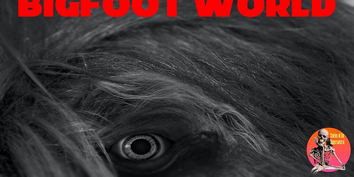 Bigfoot World | Interview with Jill Remensnyder | Podcast