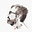 Avatar de Filipe Teixeira