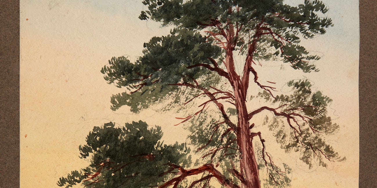 Two Poems by Eliot Cardinaux