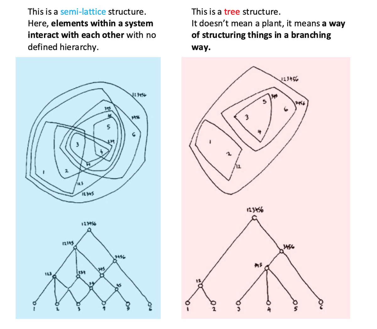 A diagram showing two illustrations: The first is a semi-lattice structure. Here, elements within a system interact with each other with no defined hierarchy. The second is a tree structure.
It doesn’t mean a plant, it means a way of structuring things in a branching way. 

Diagrams are taken from the original essay: "A City is Not a Tree"

