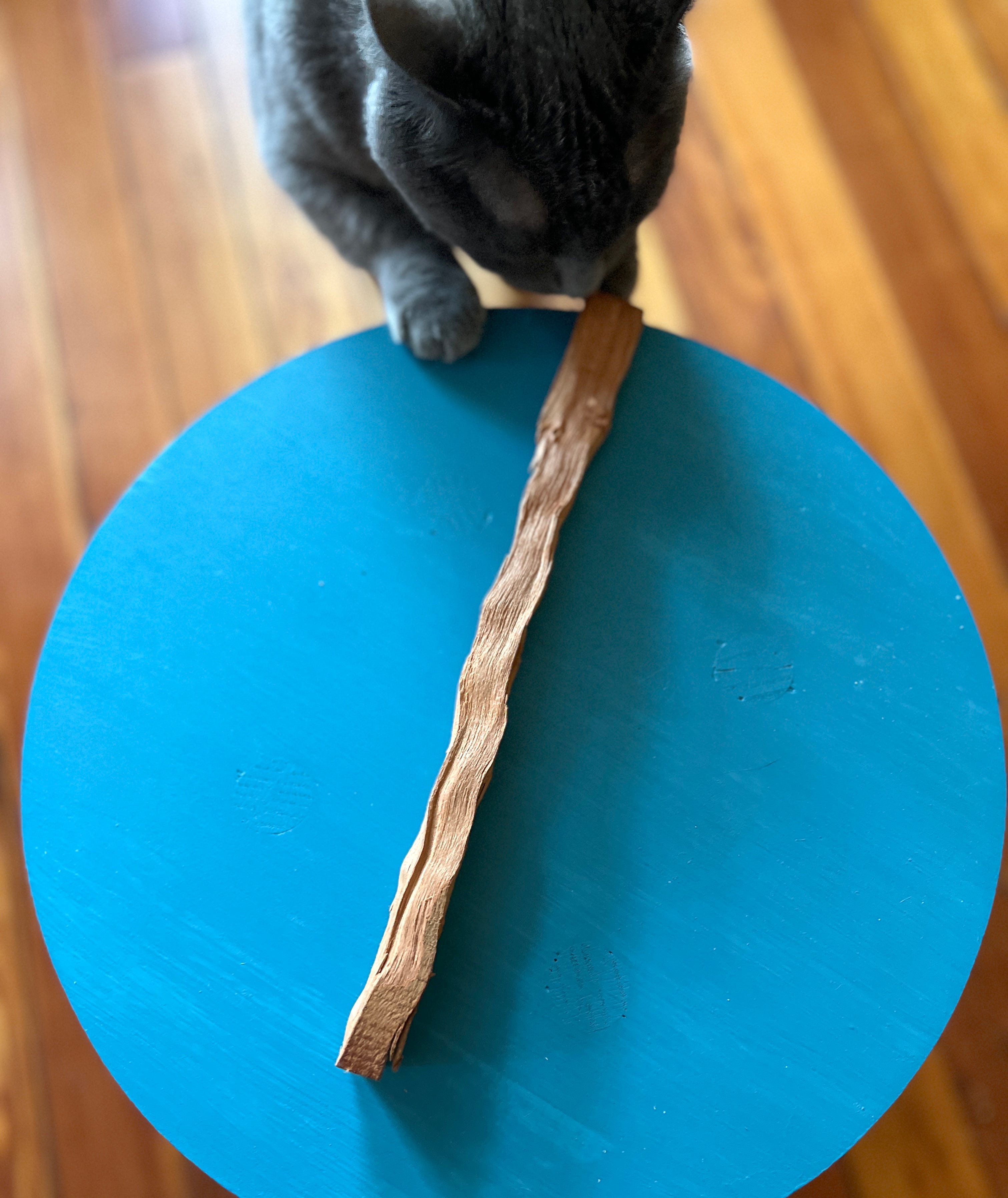 How to Make a Wood Dowel Cat Toy: Easy DIY Fun for Cats
