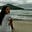 Avatar de alina