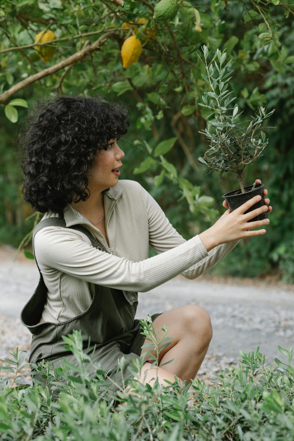 Woman with curly dark hair sitting under a lemon tree holding a young tree prior to planting