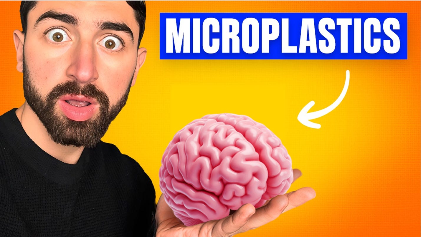 A person holding a pink brain

AI-generated content may be incorrect.