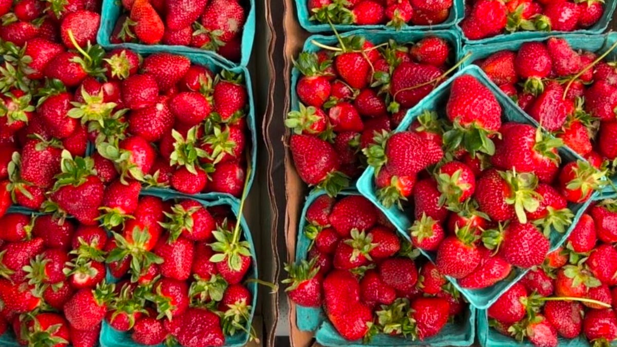 Roasted Strawberry Cheesecake - by Erin Jeanne McDowell