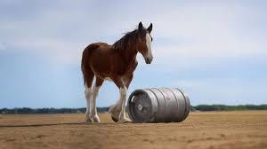 Budweiser Clydesdales commercial wins ...