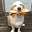 Reginald's avatar
