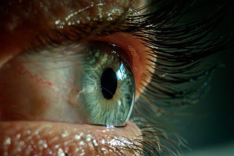 Close-up photo of a single human eye. Close-up photo of a single human eye.