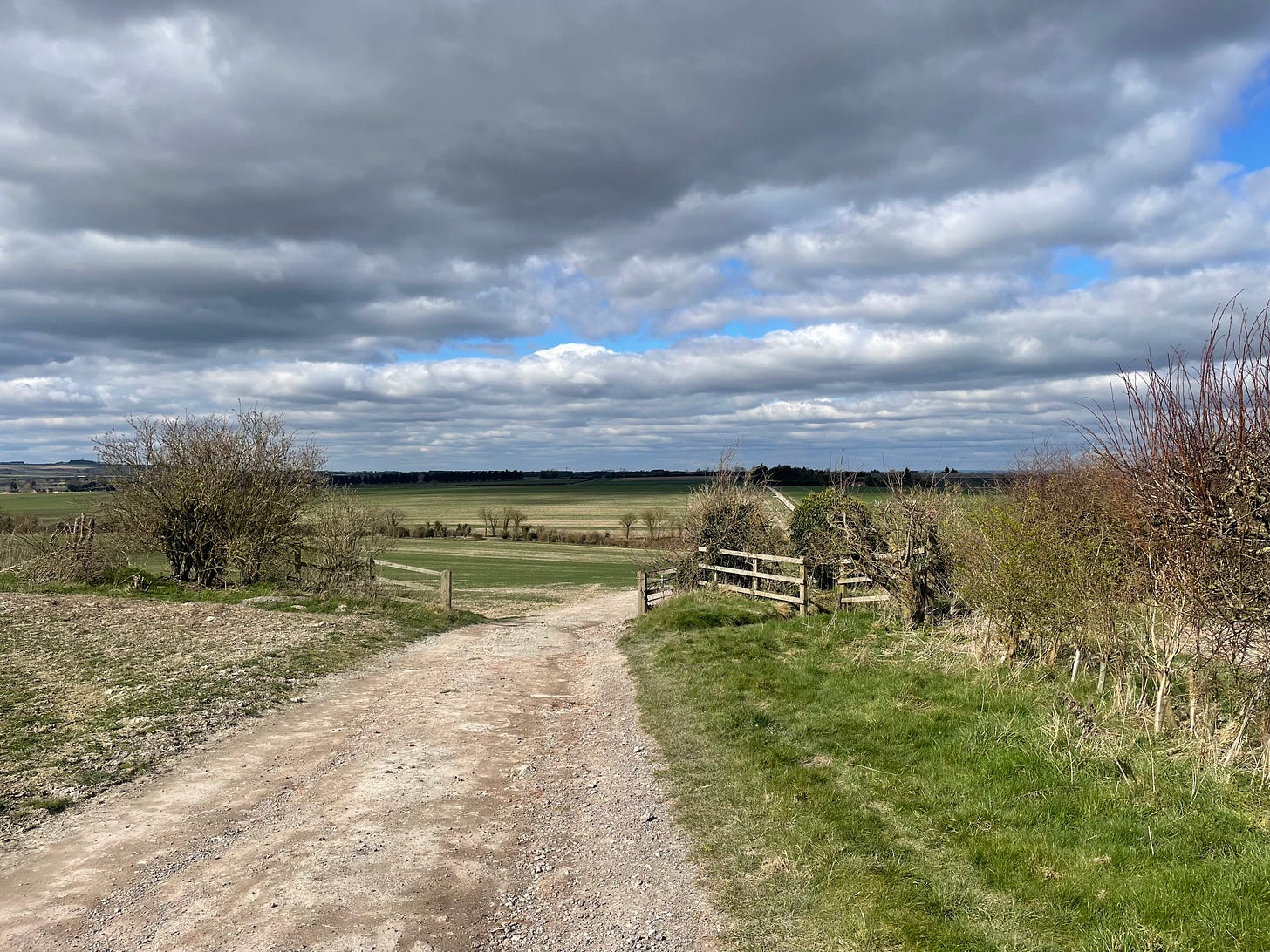 Cloudy skies over a farm track winding through fields