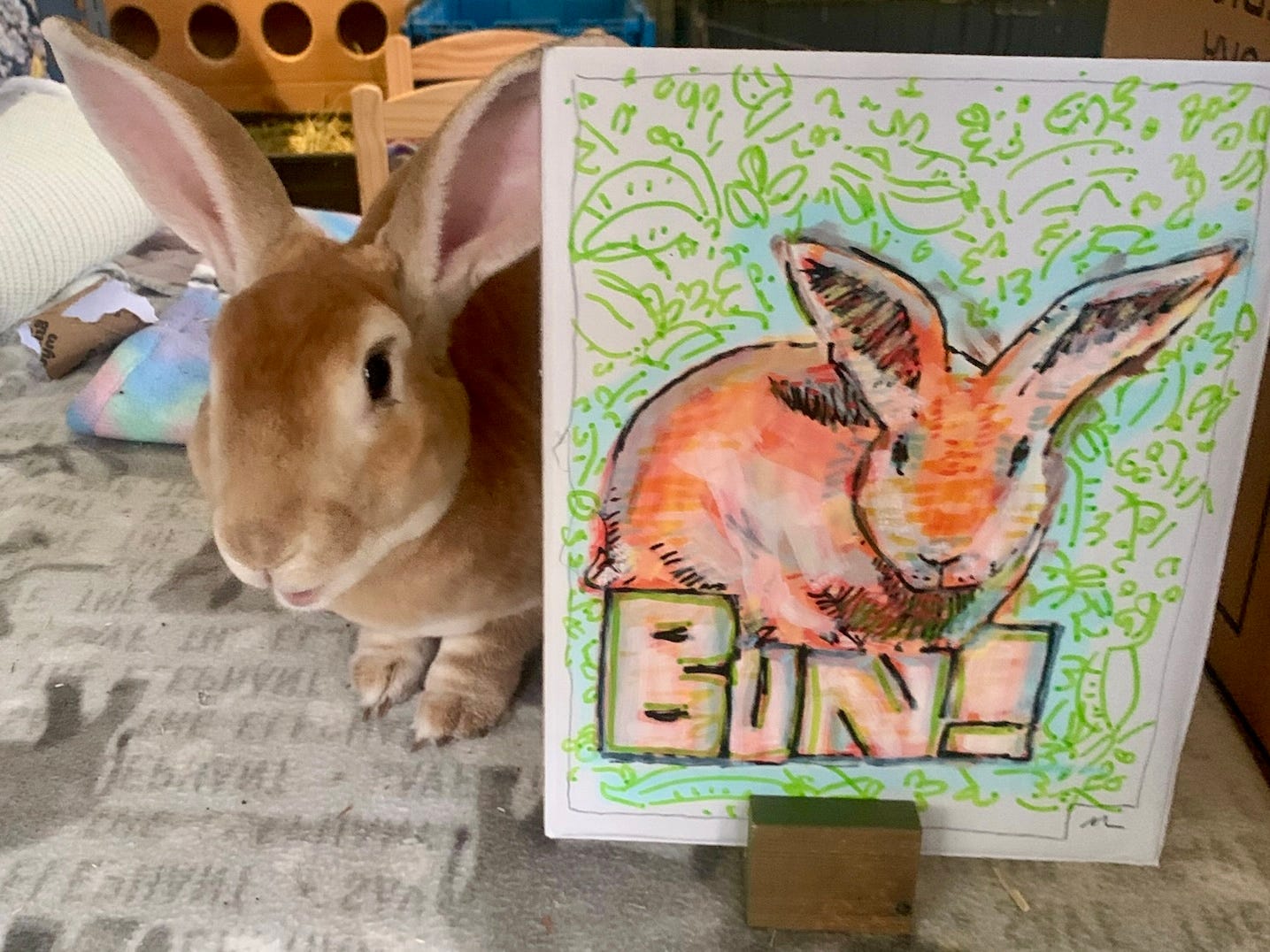 Rabbit