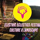 Electric Eclectics 2026 Cancelled After Major Funding Loss