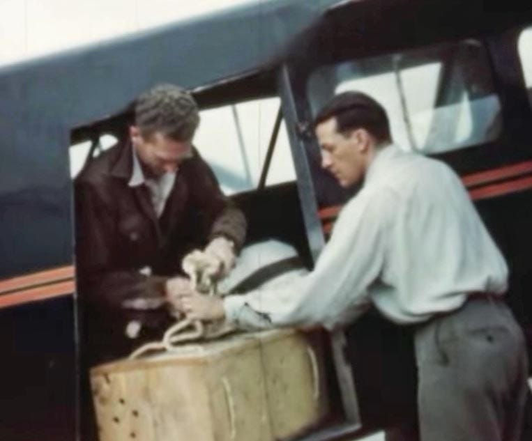 Beaver flight