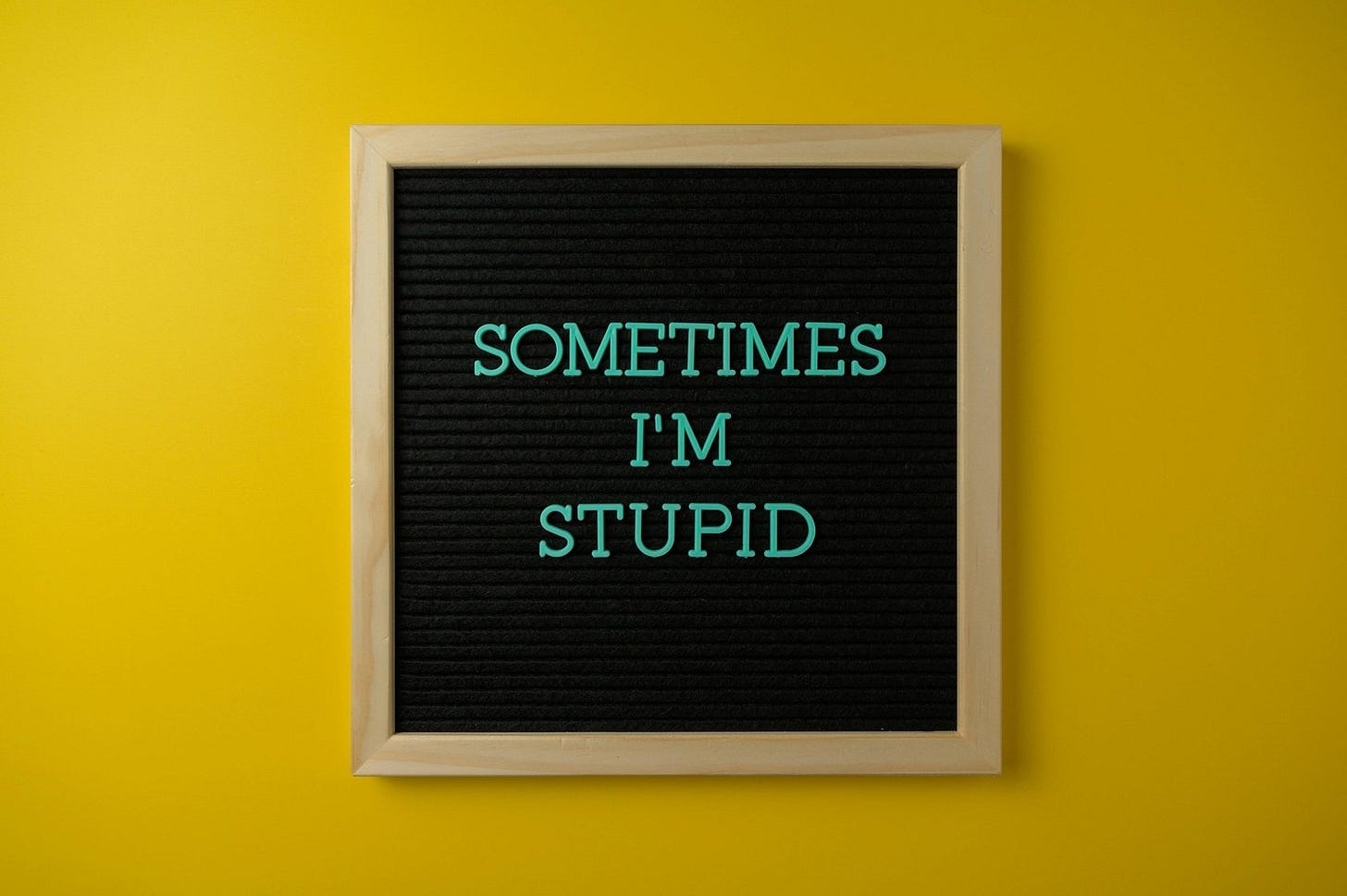 stupid.jpg stupid.jpg