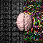 Which brain supplements (Nootropics) sources are credible?