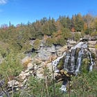 Grey Sauble Raises Concerns as Province Pushes Plan for Conservation Authority Consolidation Ahead
