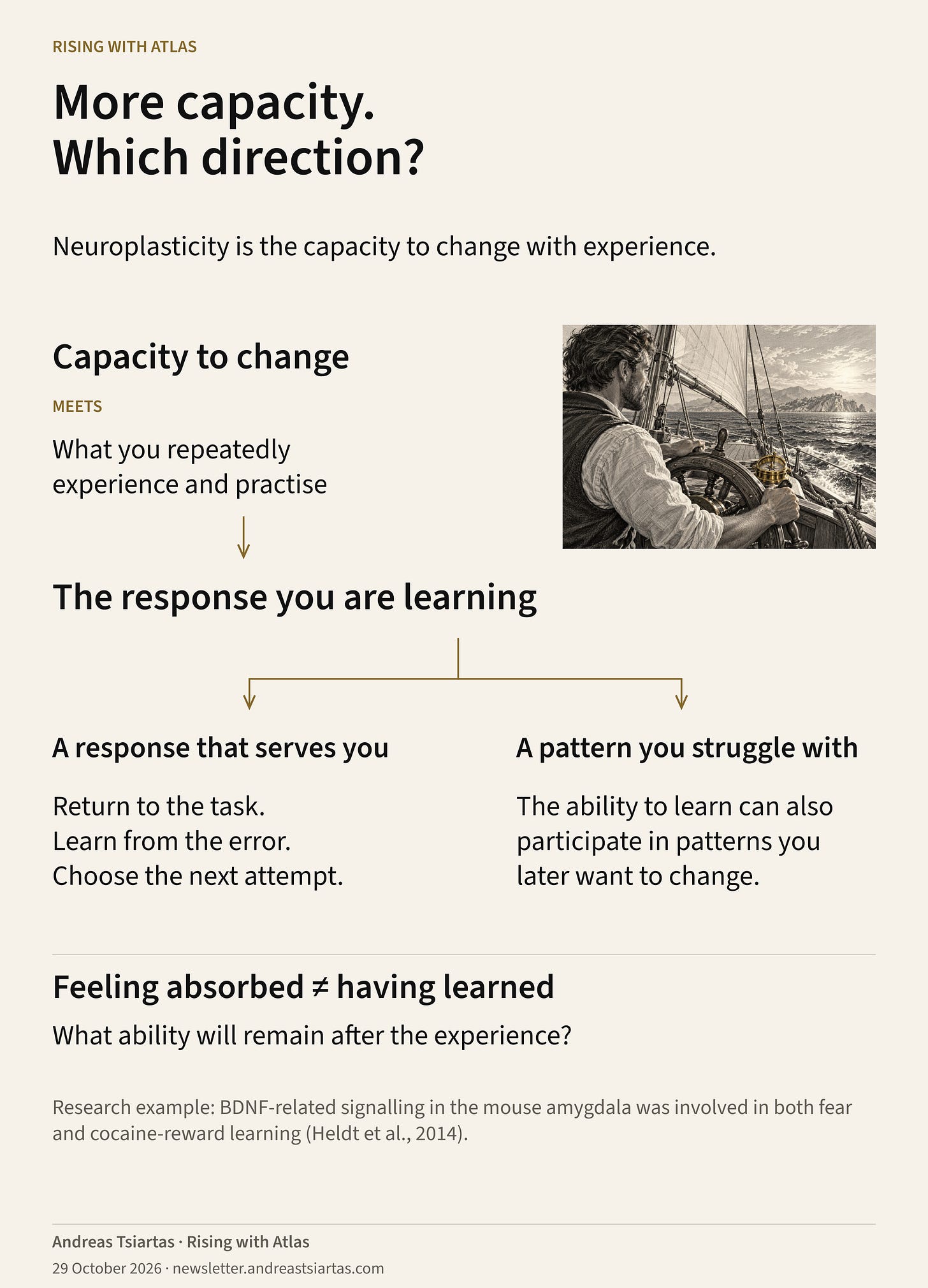 A flow diagram connects the capacity to change and repeated experience with learned responses, branching into useful responses and patterns someone may want to change. A helmsman illustrates deliberate direction.