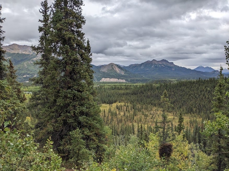 a green and mountainous view of interior alaska