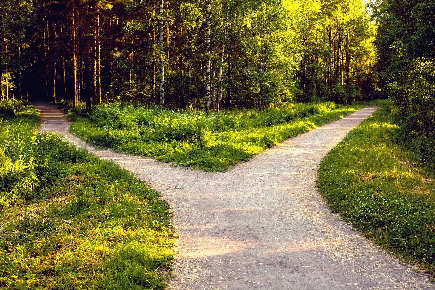 Wound Central - Two roads diverged in a wood and sorry I could not travel both Wound Central - Two roads diverged in a wood and sorry I could not travel both
