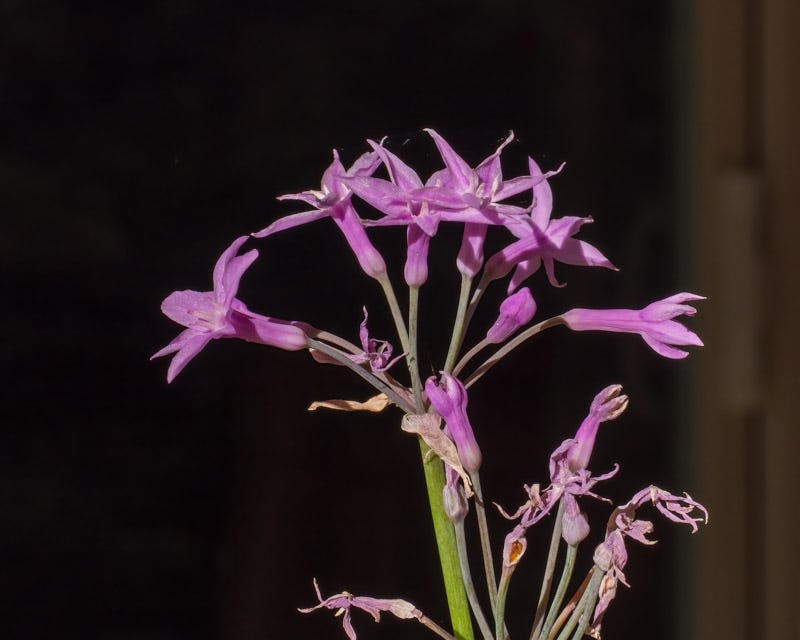 20251006-mby-31-Edit.jpg