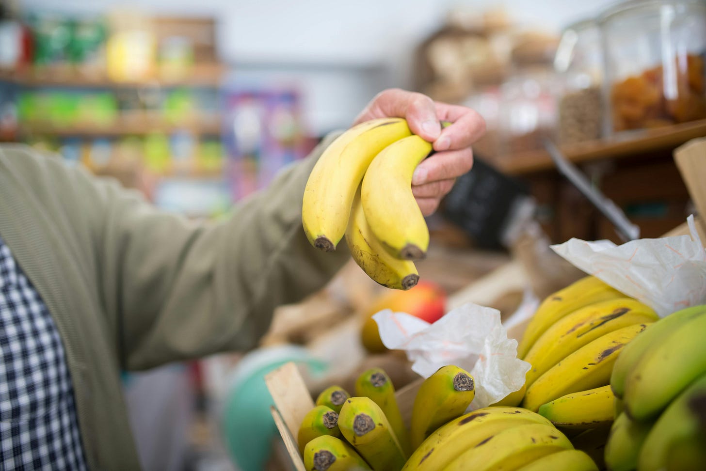 Person Holding Yellow Bananas · Free Stock Photo