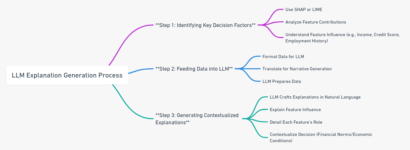 LLM Explanation Generation Process