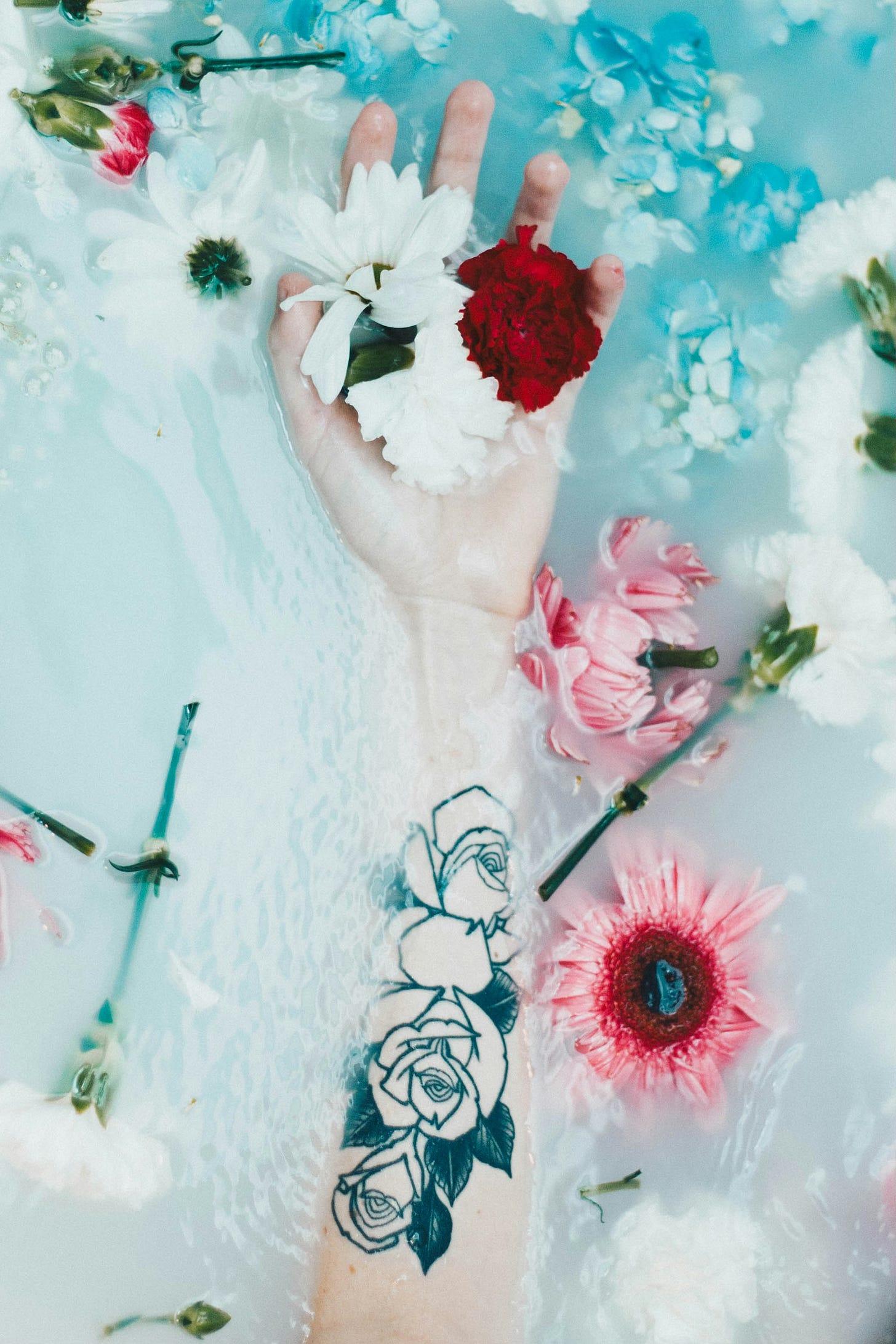 An arm with black rose tattoos floats in a milky bath with pink, blue, and white flowers all around them, including carnations. The person's hand is open, and white and red blossoms rest in their palm. An arm with black rose tattoos floats in a milky bath with pink, blue, and white flowers all around them, including carnations. The person's hand is open, and white and red blossoms rest in their palm.