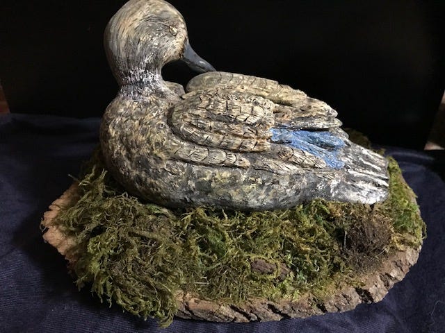 Nesting duck - Janet Wolfinger