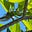 Nicholas Van Raalte's avatar