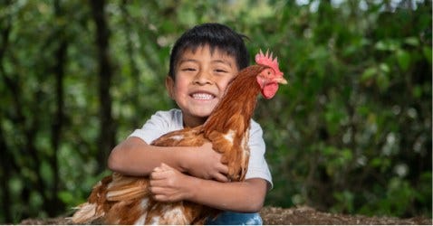 Giving with intention and meaning -- like donating livestock through World Vision Giving with intention and meaning -- like donating livestock through World Vision