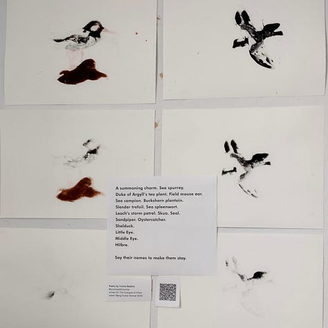 Gelli prints of birds, each print becoming lighter, the birds almost disappearing; land art installation in celebration of the summer solstice by Domenic Wilkinson; installation space by Terry Duffy